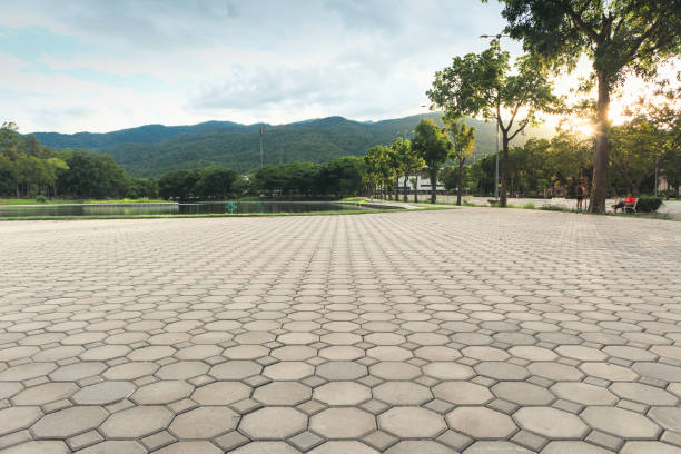 Best Best Driveway Pavers  in Elkton, MD