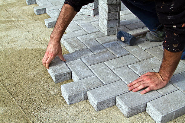 Best Local Driveway Pavers  in Elkton, MD